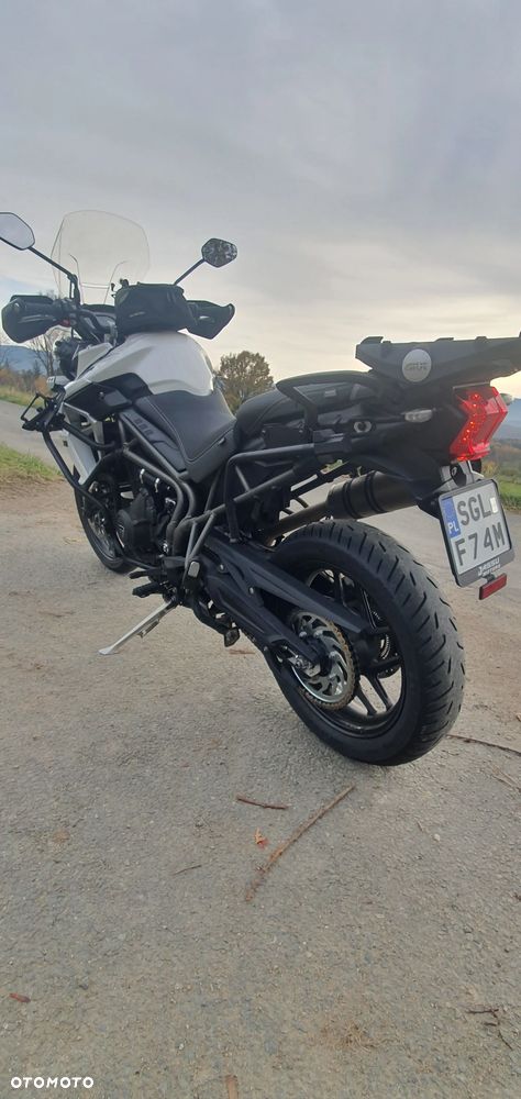 Triumph Tiger - 10