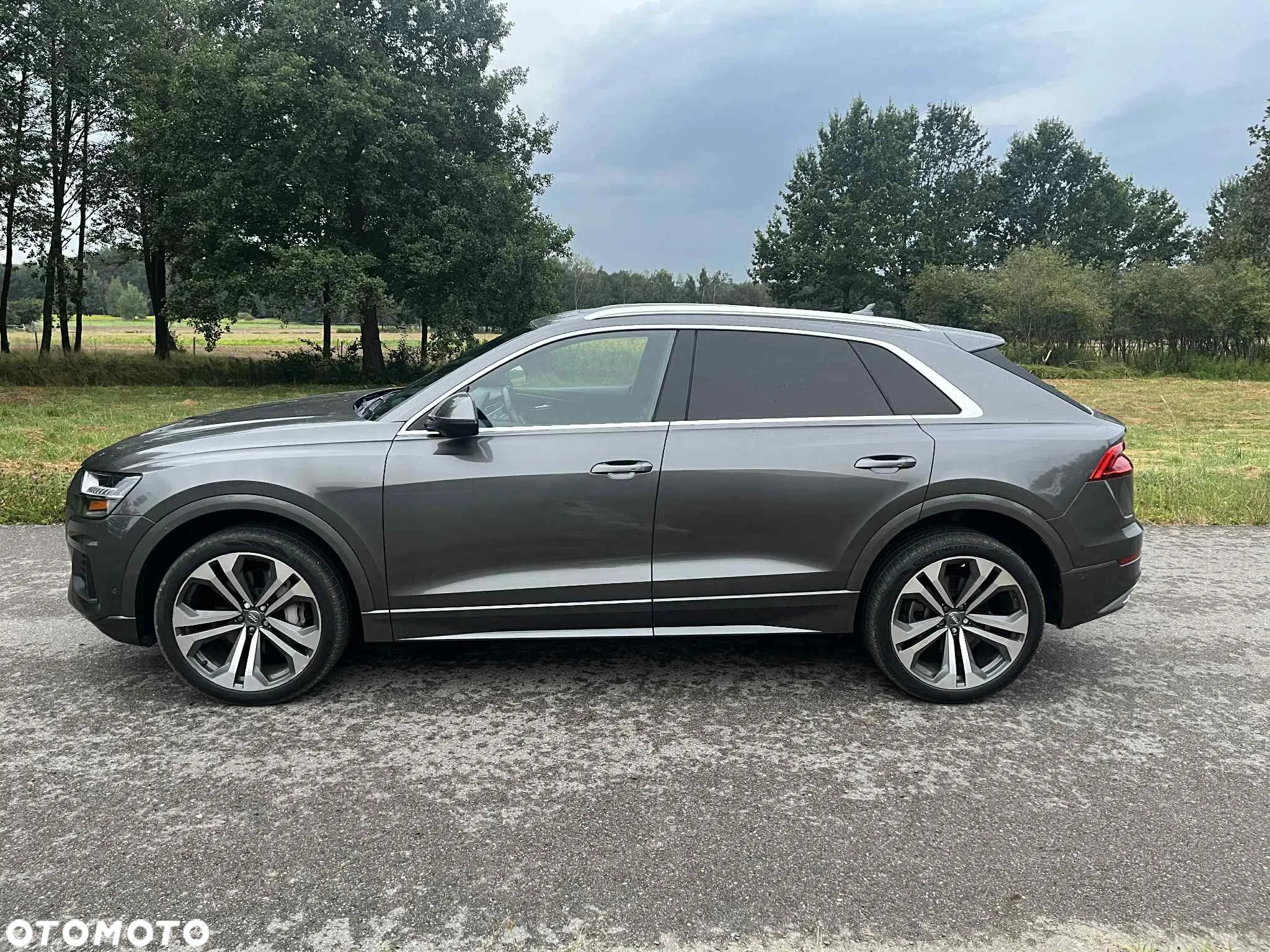 Audi Q8 - 8