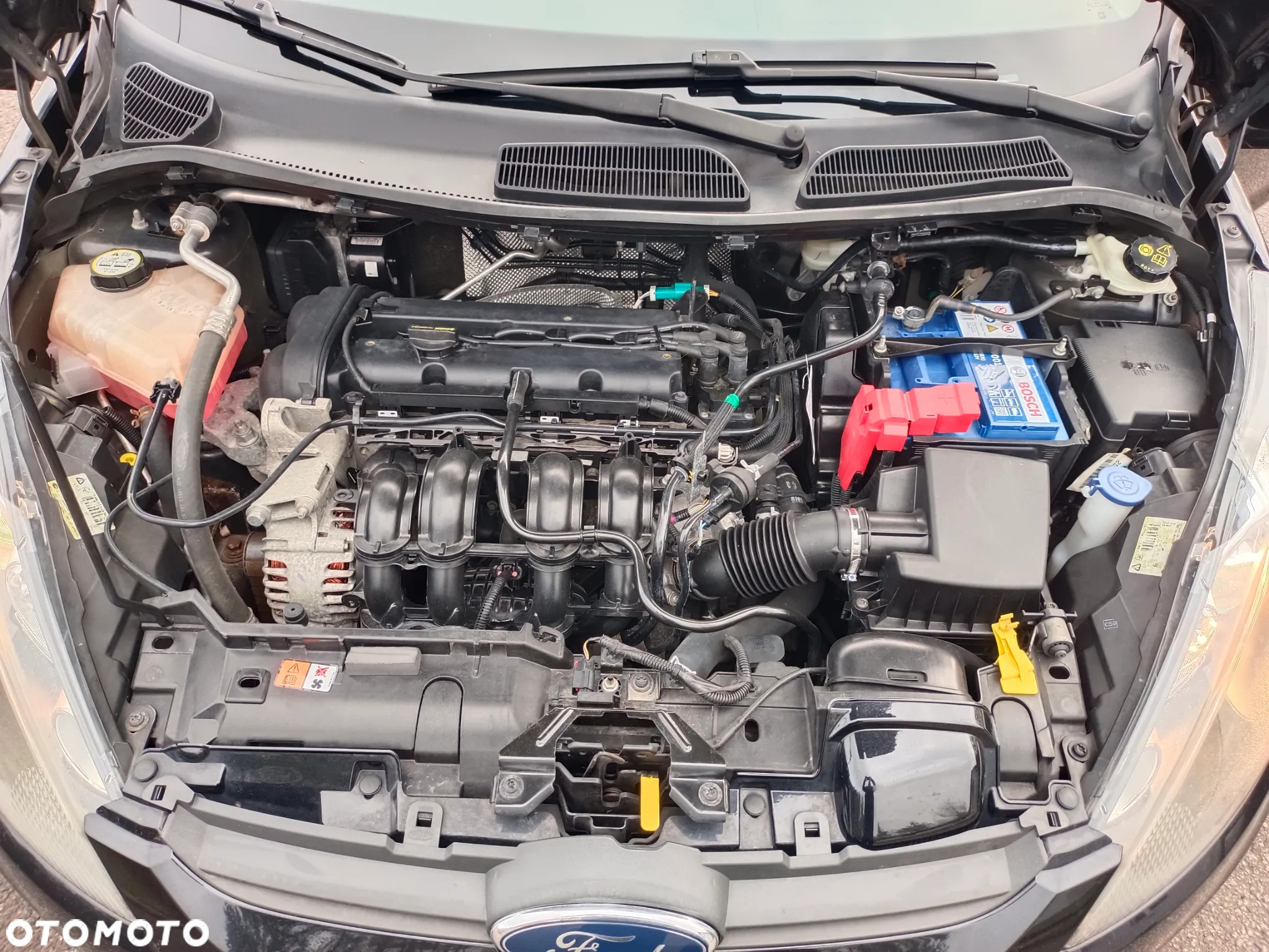 Ford Fiesta - 19