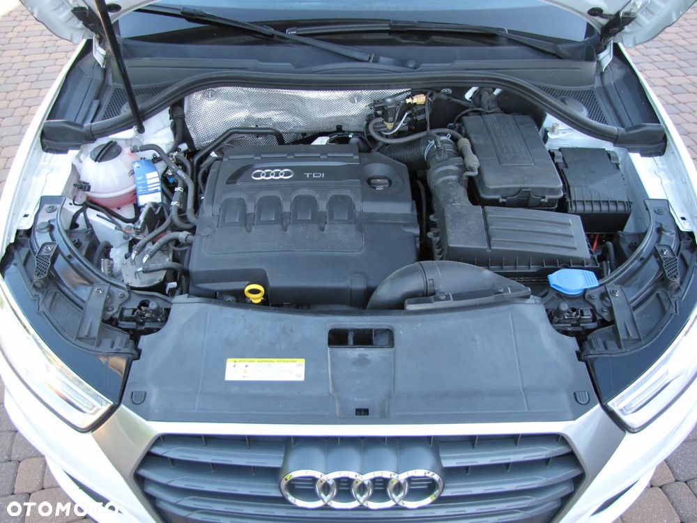 Audi Q3 - 23