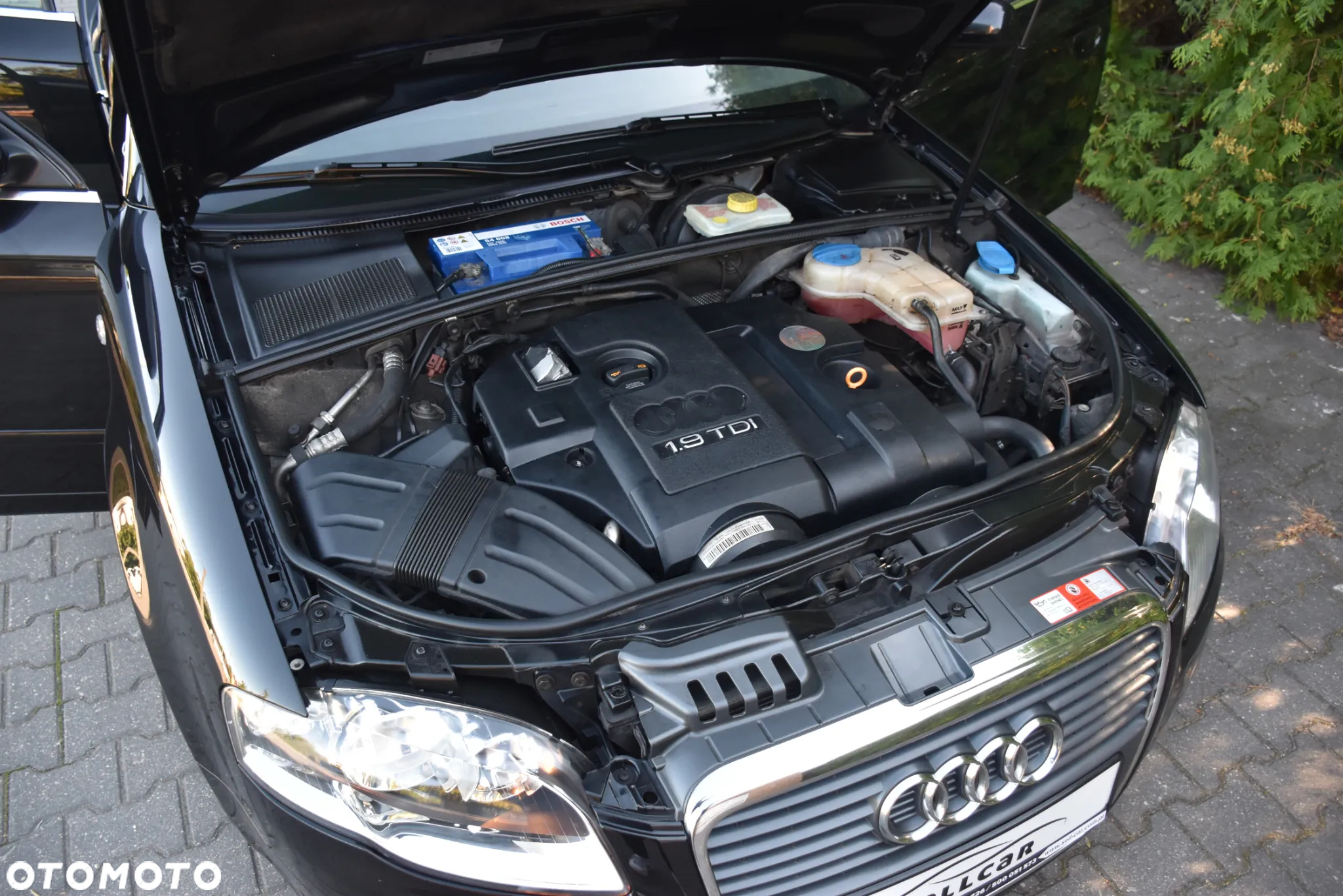 Audi A4 - 23