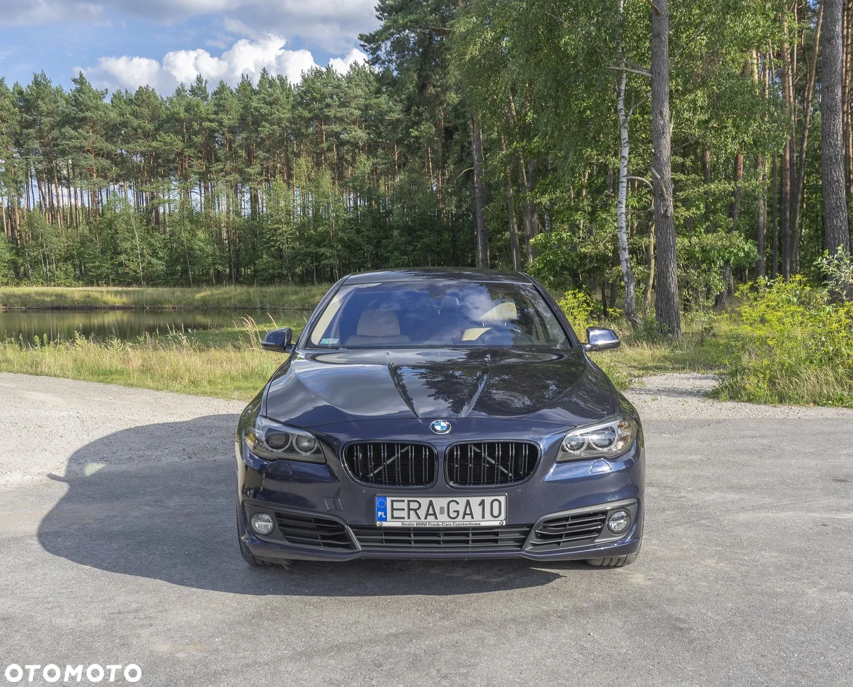 BMW Seria 5 525d xDrive Luxury Line - 1