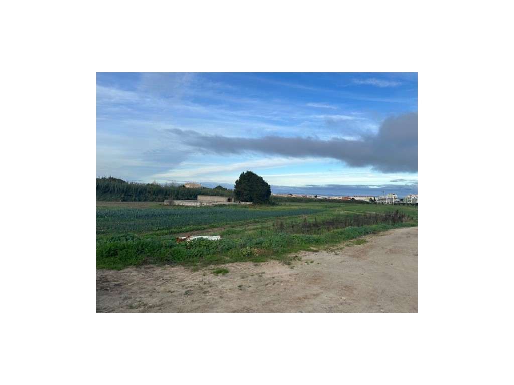 ALCOCHETE - TERRENO MISTO, COM POSSIBILIDADE DE CONSTRUÇÃO - Grande imagem: 3/7