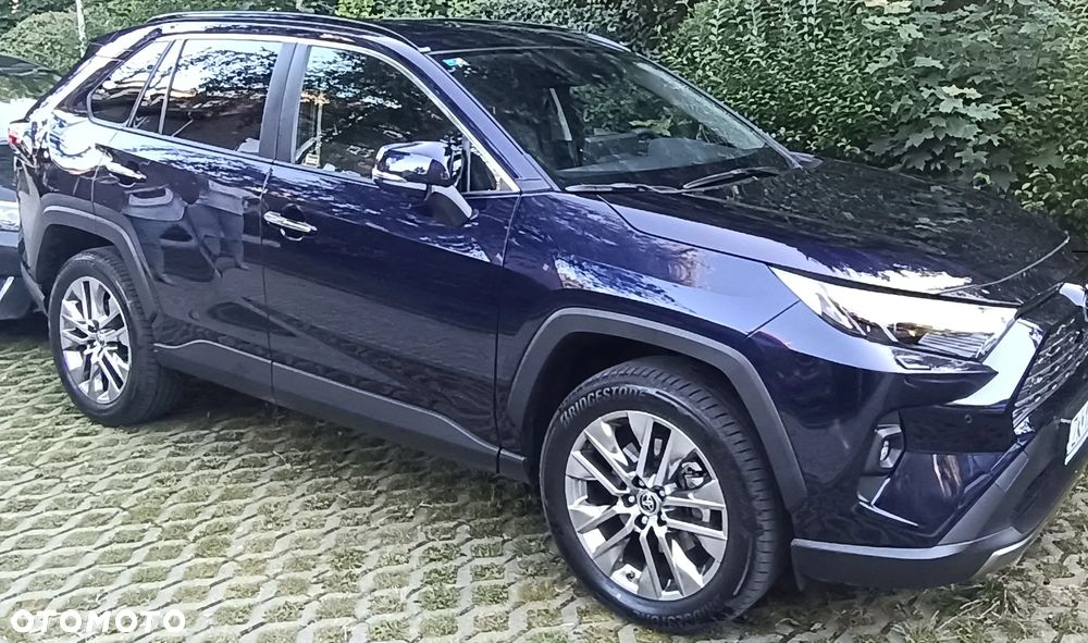 Toyota RAV4 2.5 Hybrid Executive 4x2 - 8