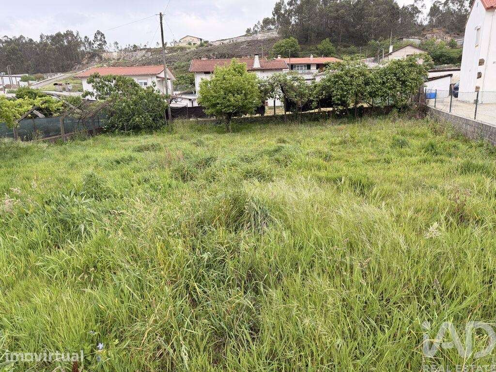 Terreno em São Roque - Grande imagem: 4/6