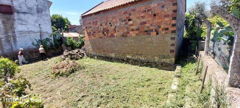 Moradia Terreno 1780m2 - Grande imagem: 3/7