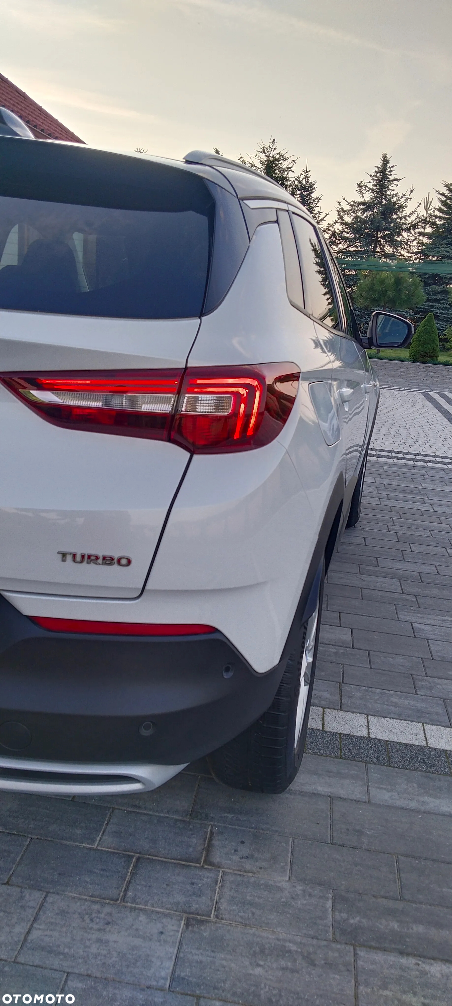 Opel Grandland X 1.6 T Ultimate S&S - 9
