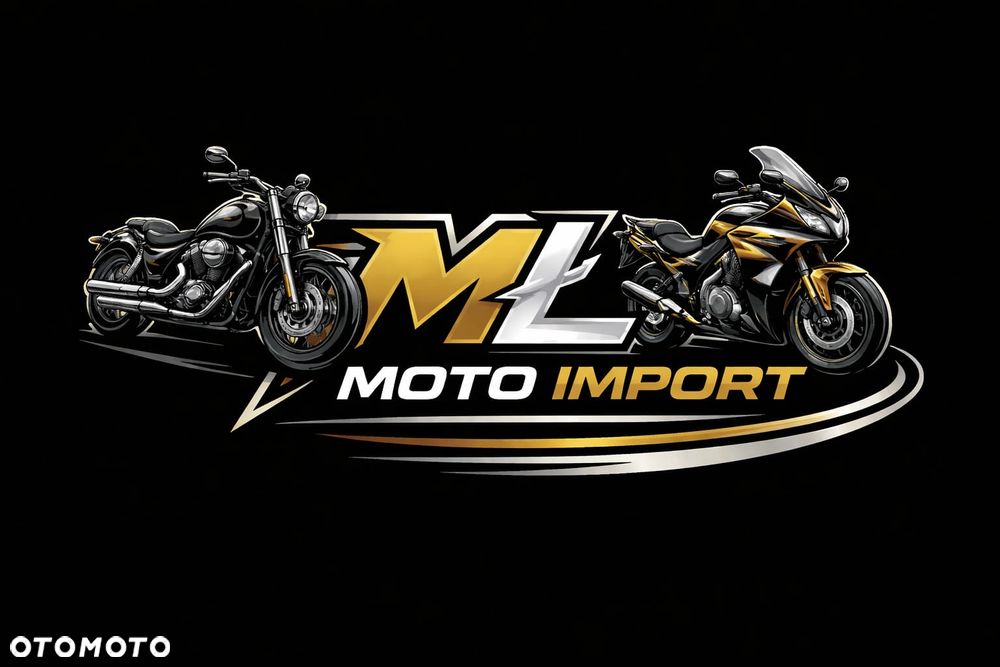 Yamaha Virago - 21