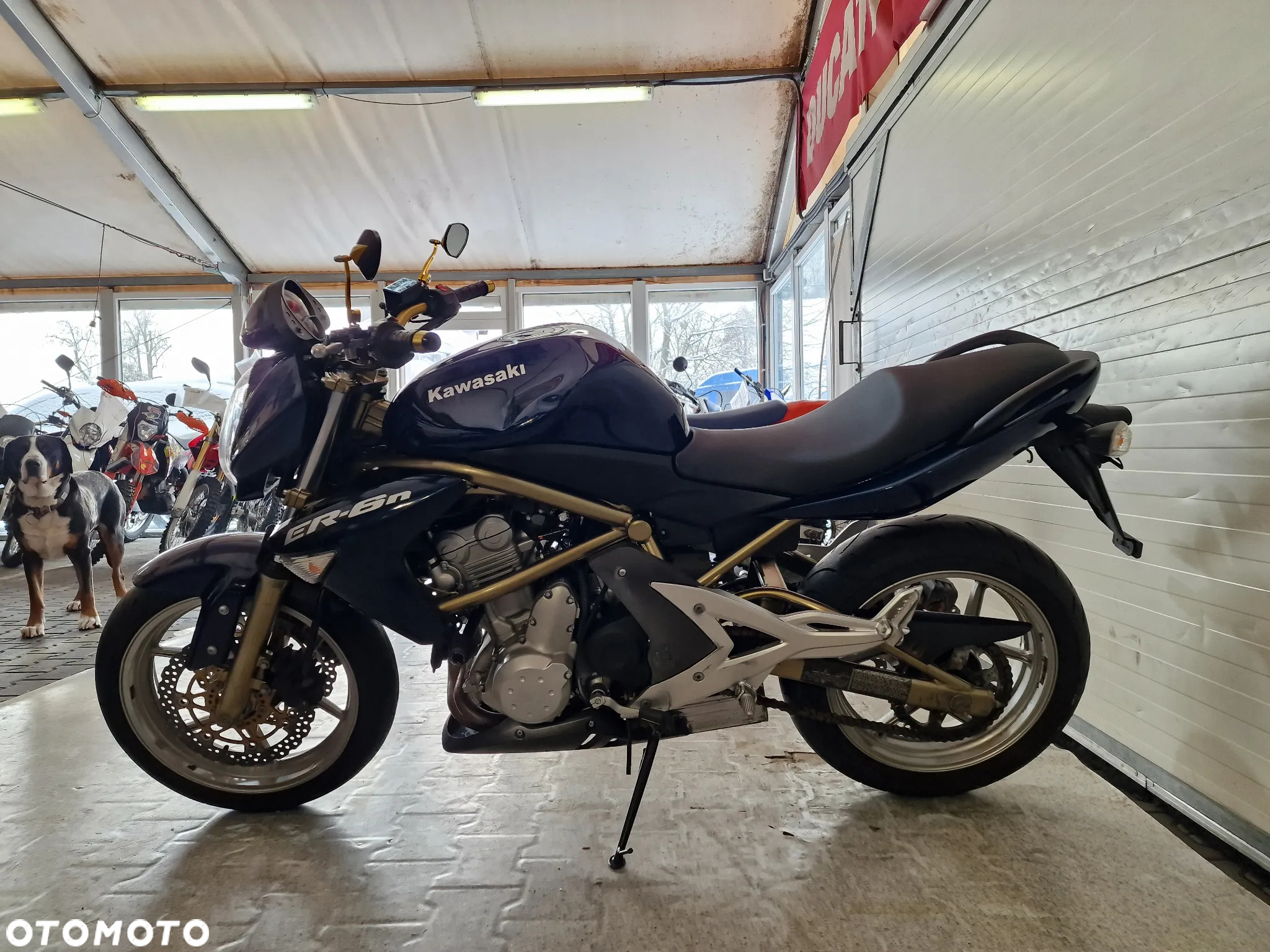 Kawasaki ER - 20