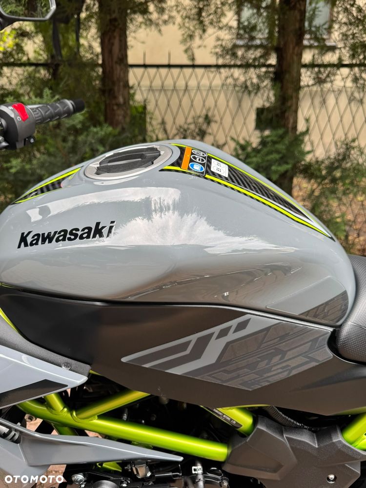 Kawasaki Z - 18