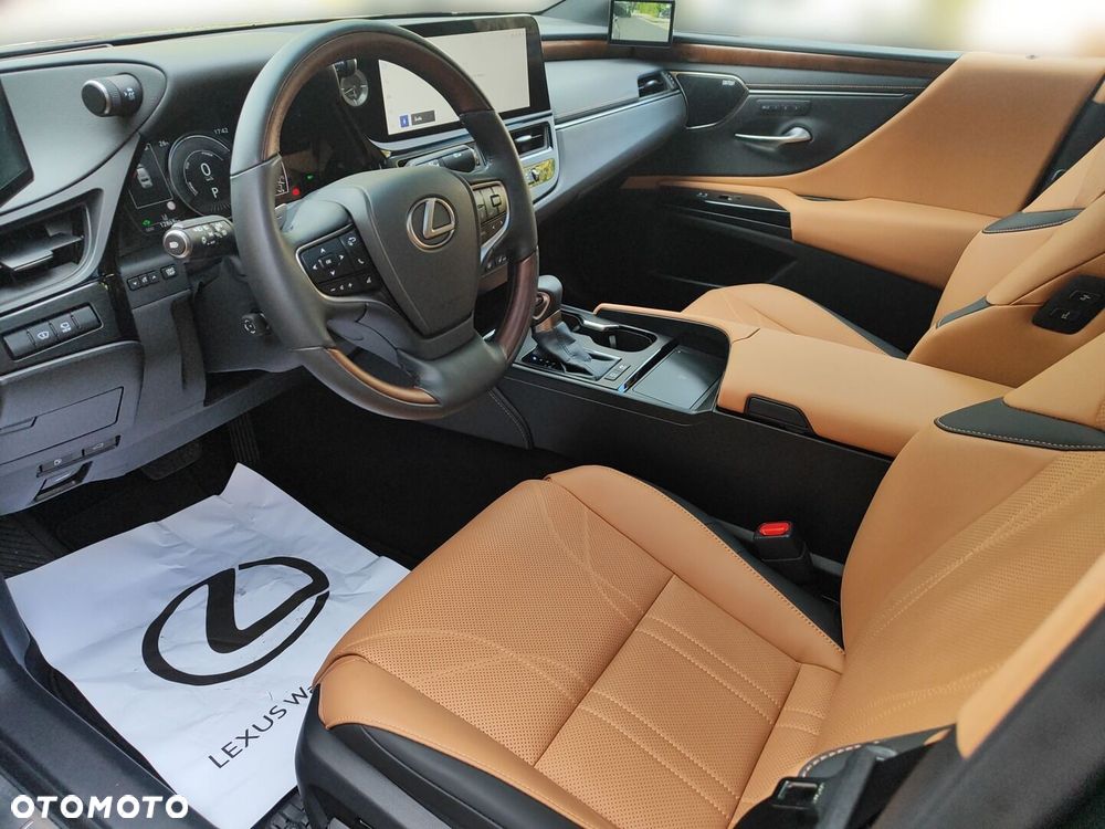Lexus ES 300h Omotenashi - 14