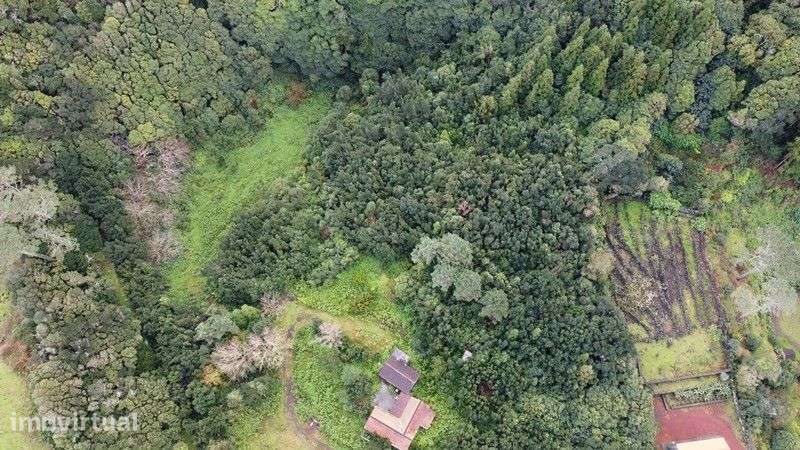 Quinta Maravilhosa em Santo Amaro (ilha do Pico) Azores - Grande imagem: 3/26