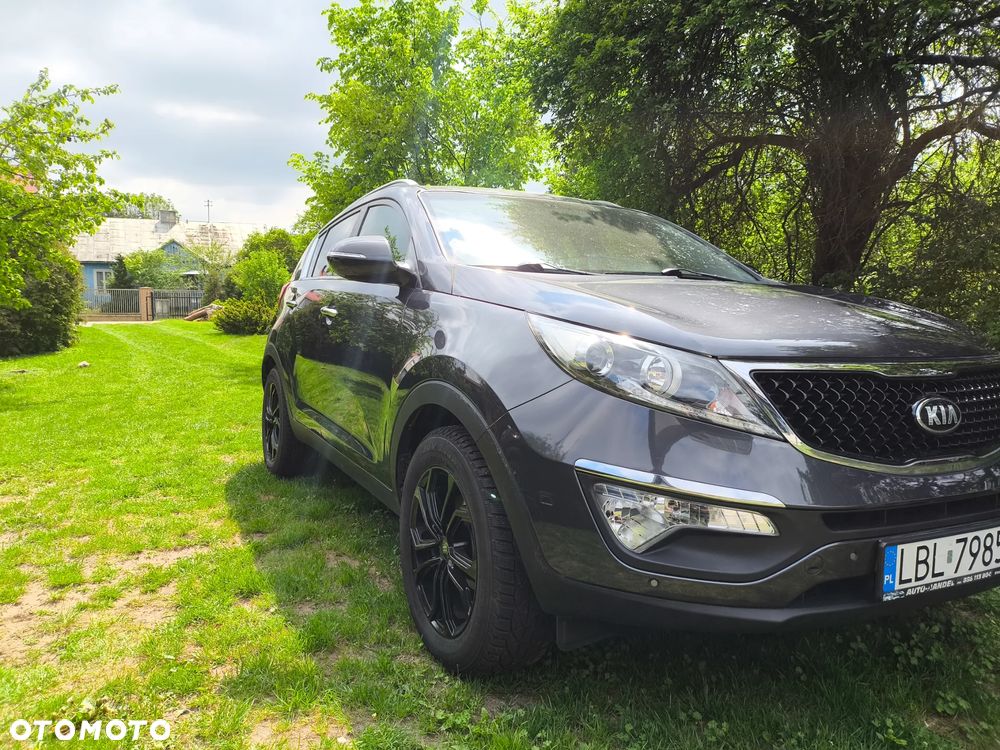Kia Sportage - 28
