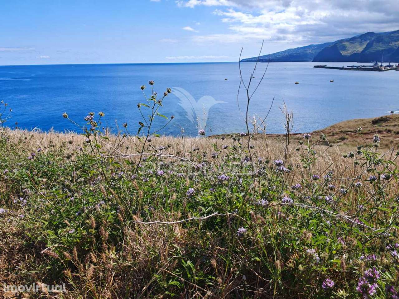 Terreno Com Vista Mar Na Prestigiada Zona da Rochinha, Caniçal - Grande imagem: 3/12