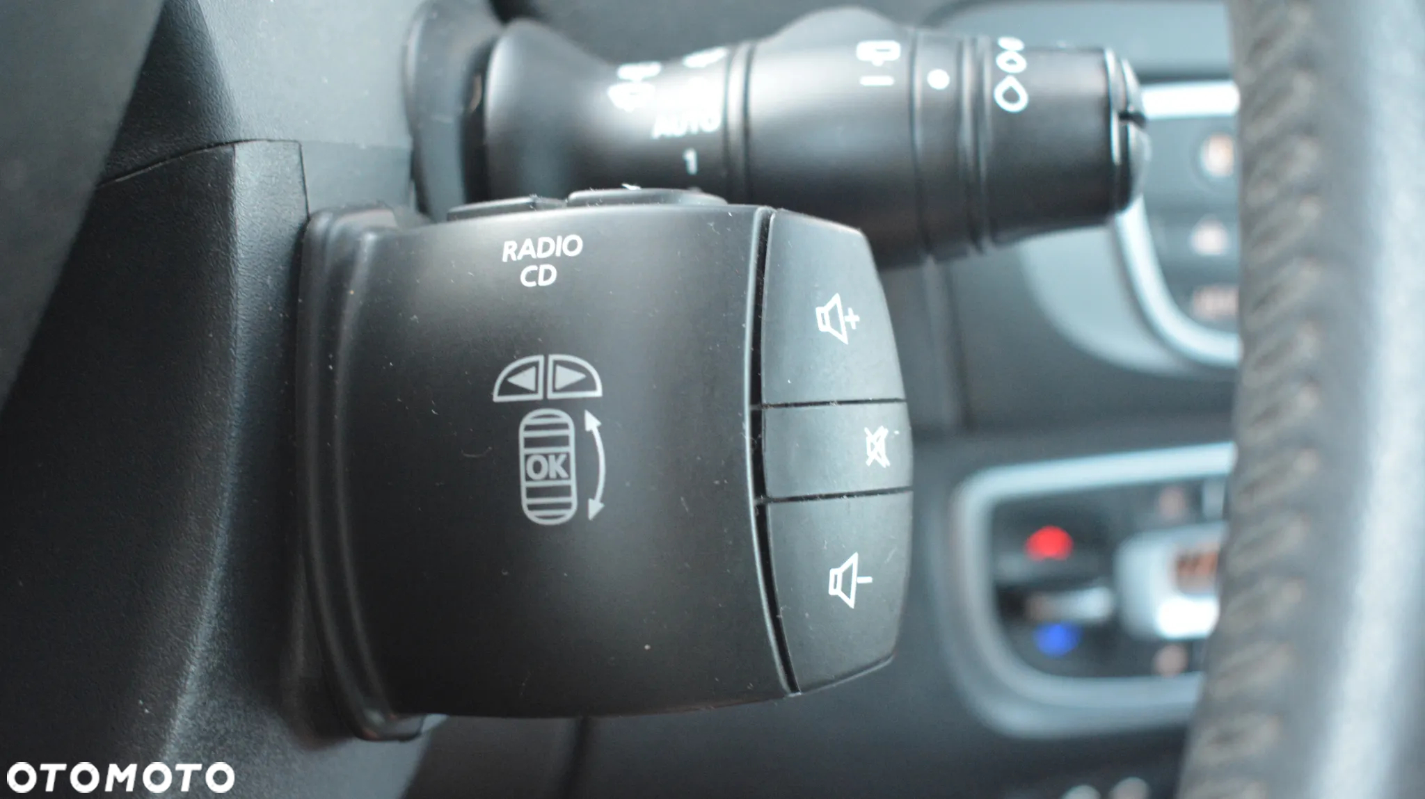 Renault Scenic - 21