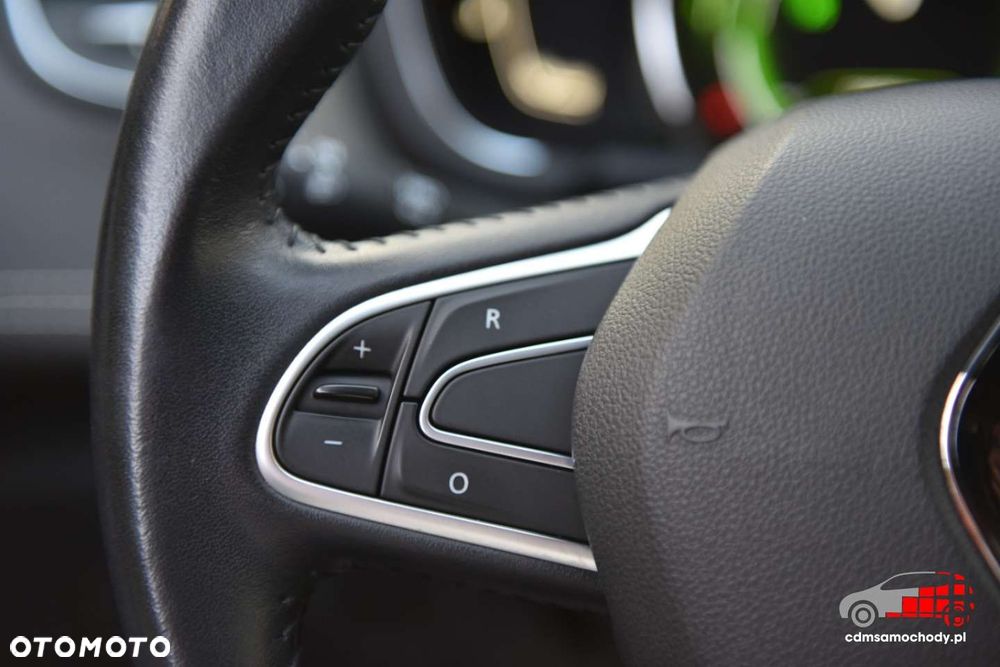 Renault Scenic - 33