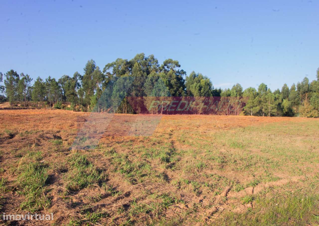 Terreno para Construção em Cervães, Vila Verde! - Grande imagem: 3/9