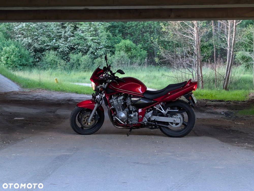 Suzuki Bandit - 14