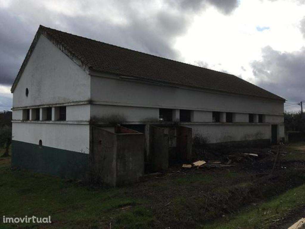 Armazém - até 100% Financiamento - Grande imagem: 5/5