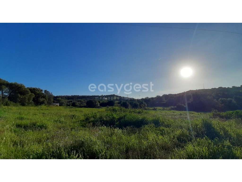 Terreno Rústico de Cultura Arvense em Morelena com 87 880m2 - Grande imagem: 3/17