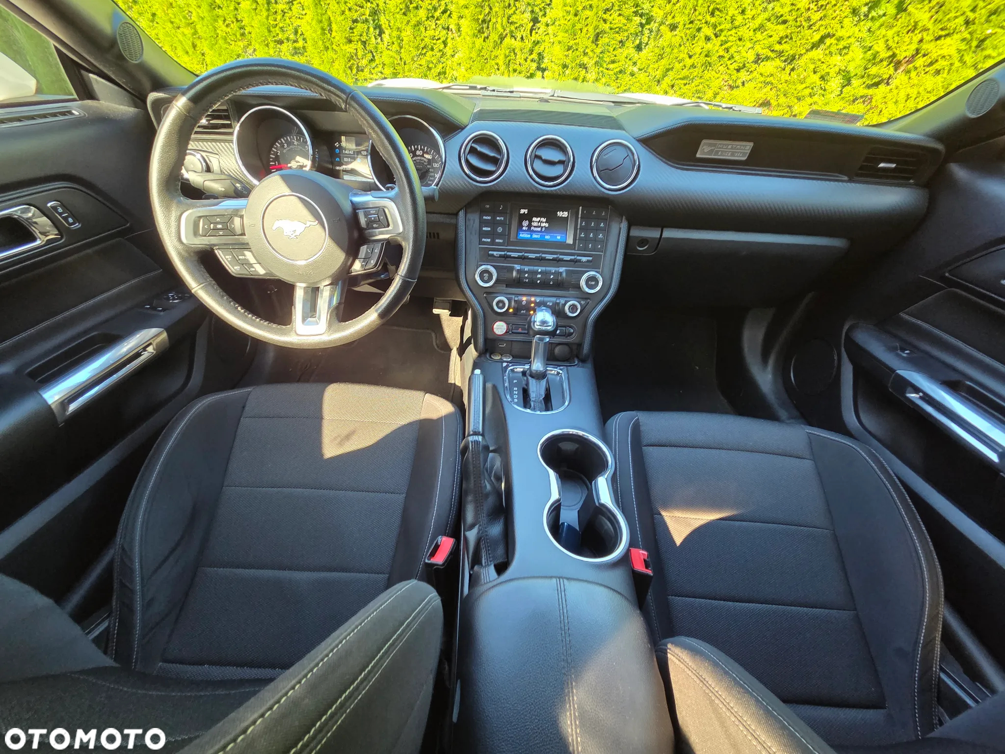 Ford Mustang 3.7 V6 - 14