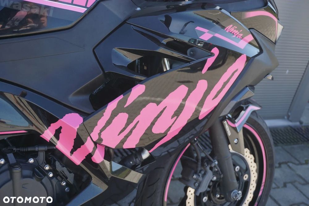 Kawasaki Ninja - 11