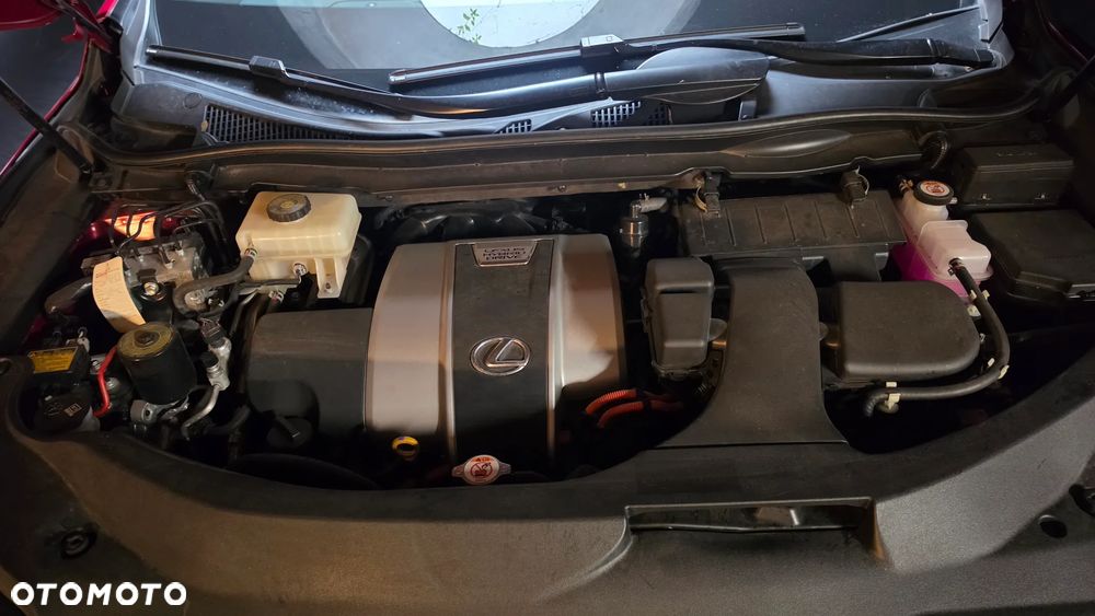 Lexus RX - 18
