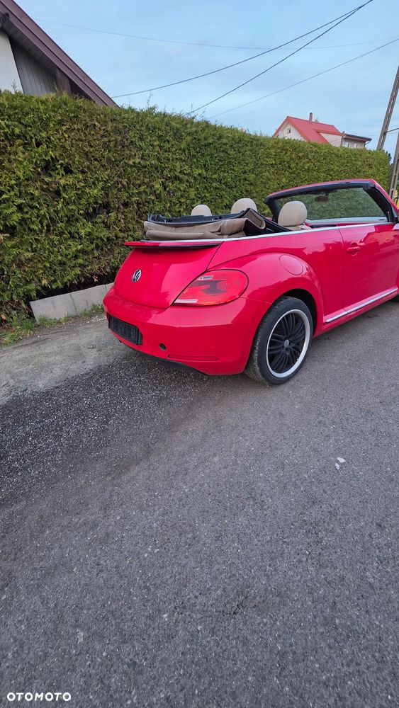 Volkswagen Beetle - 5