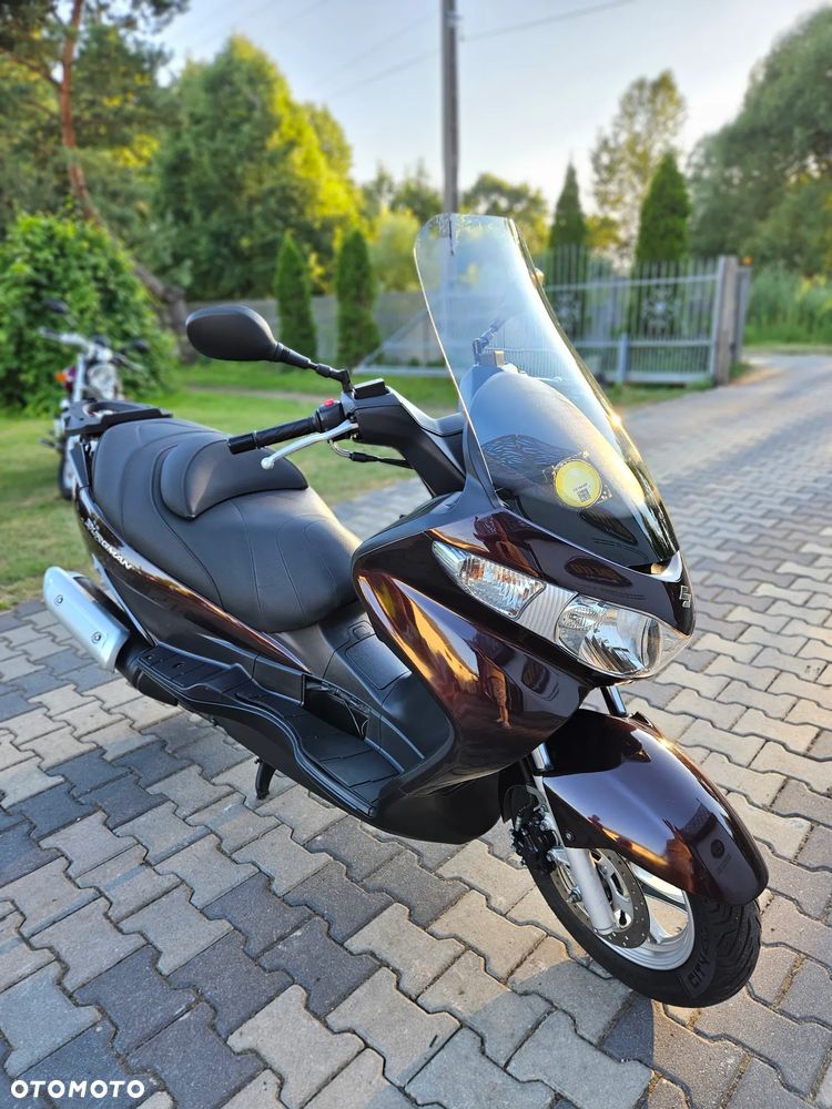 Suzuki Burgman - 5