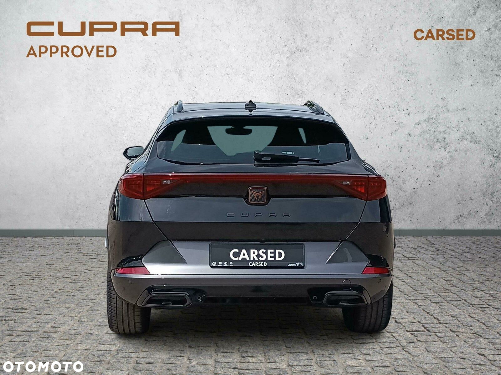Cupra Formentor 2.0 TSI 4Drive DSG - 4