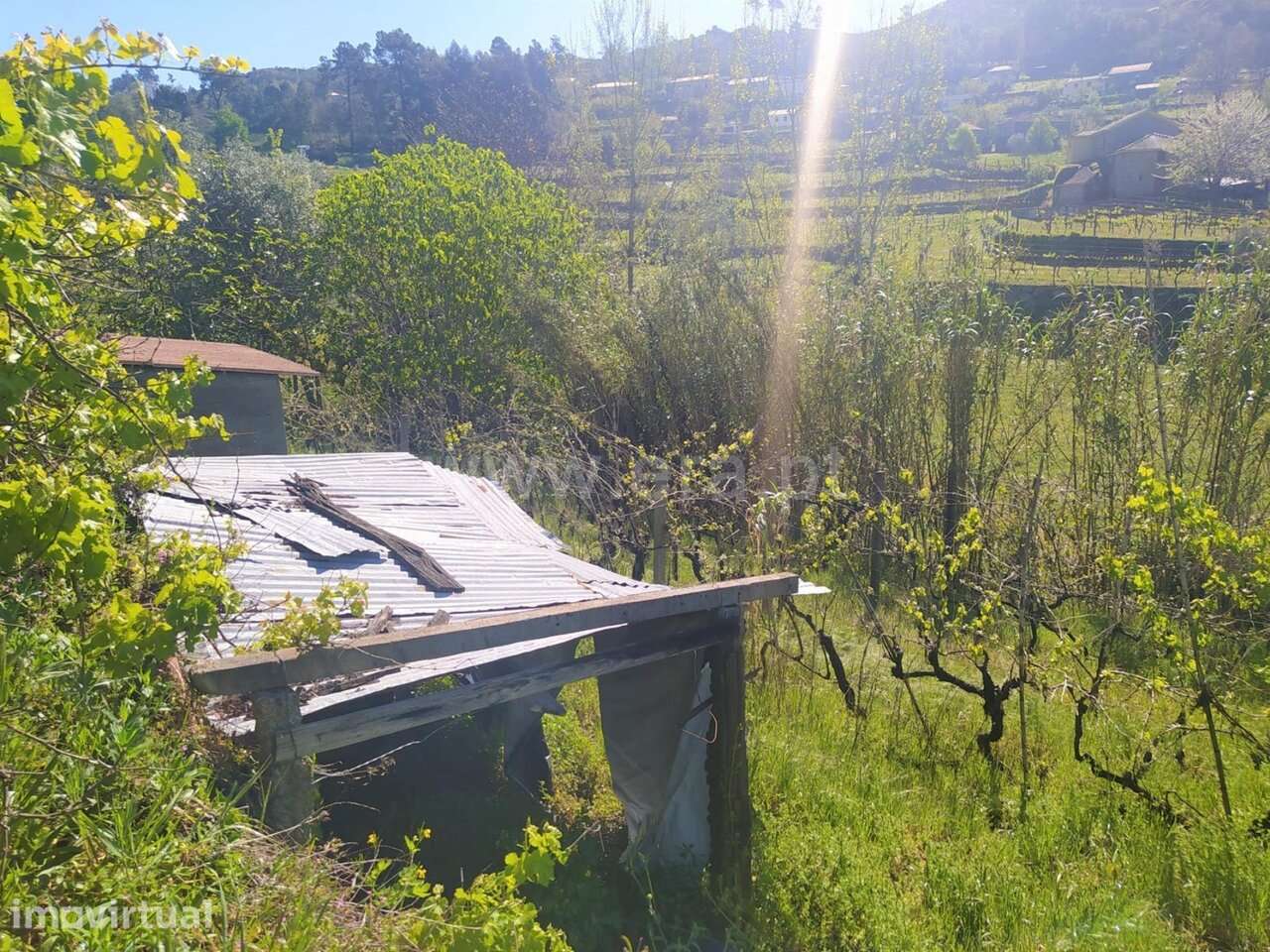 Moradia T1 / Baião, Gestaçô - Grande imagem: 4/11