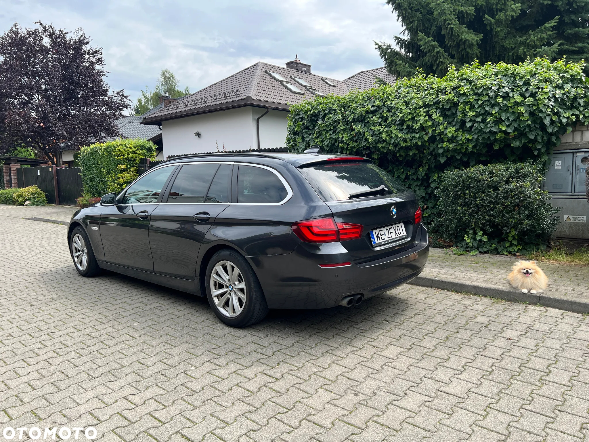 BMW Seria 5 520d Touring BluePerformance Sport-Aut - 5