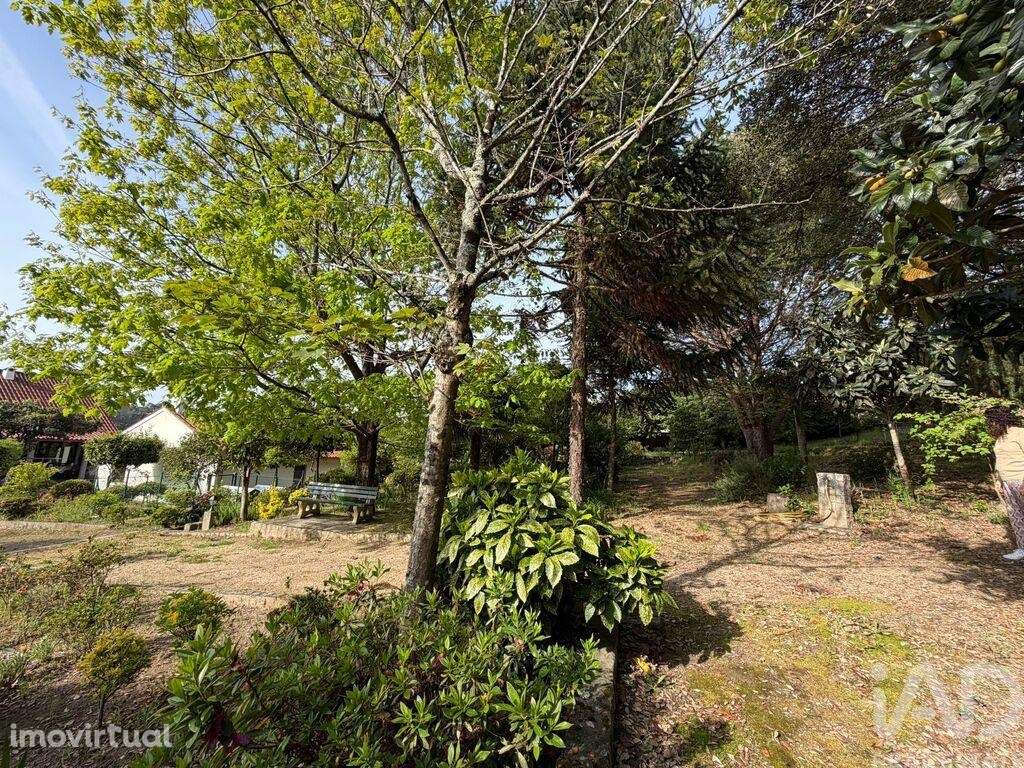 Terreno para construção em Durrães e Tregosa - Grande imagem: 4/11