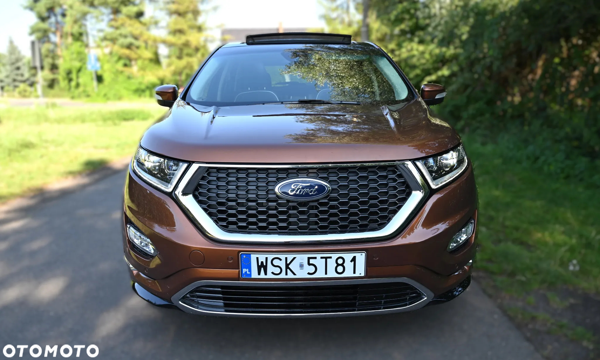 Ford Edge Vignale 2.0 TDCi Twin-Turbo 4WD - 6