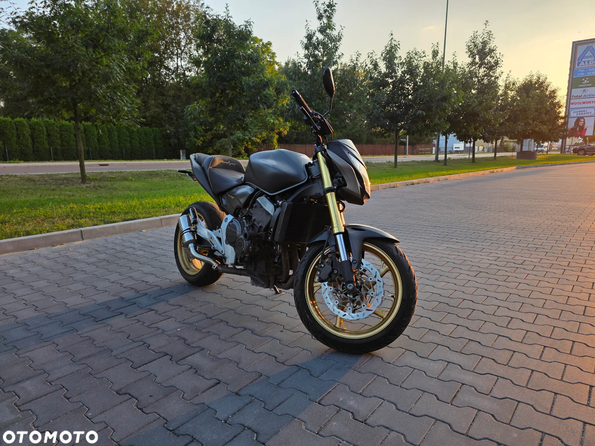 Honda Hornet - 3