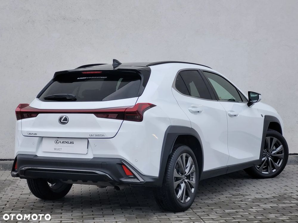 Lexus UX 250h GPF F Sport Design+ 2WD - 6