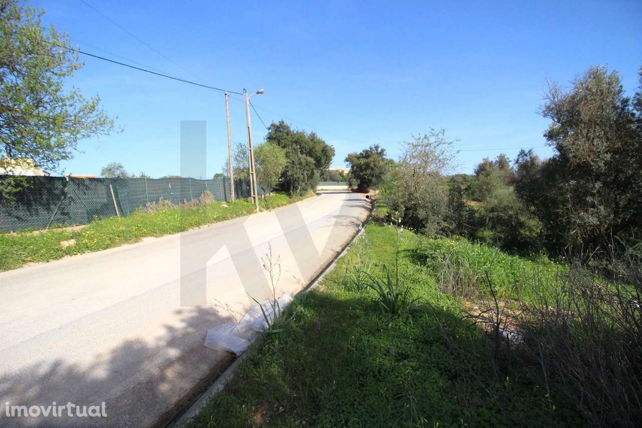 TERRENO RUSTICO, ESTOMBAR, LAGOA - Grande imagem: 5/21