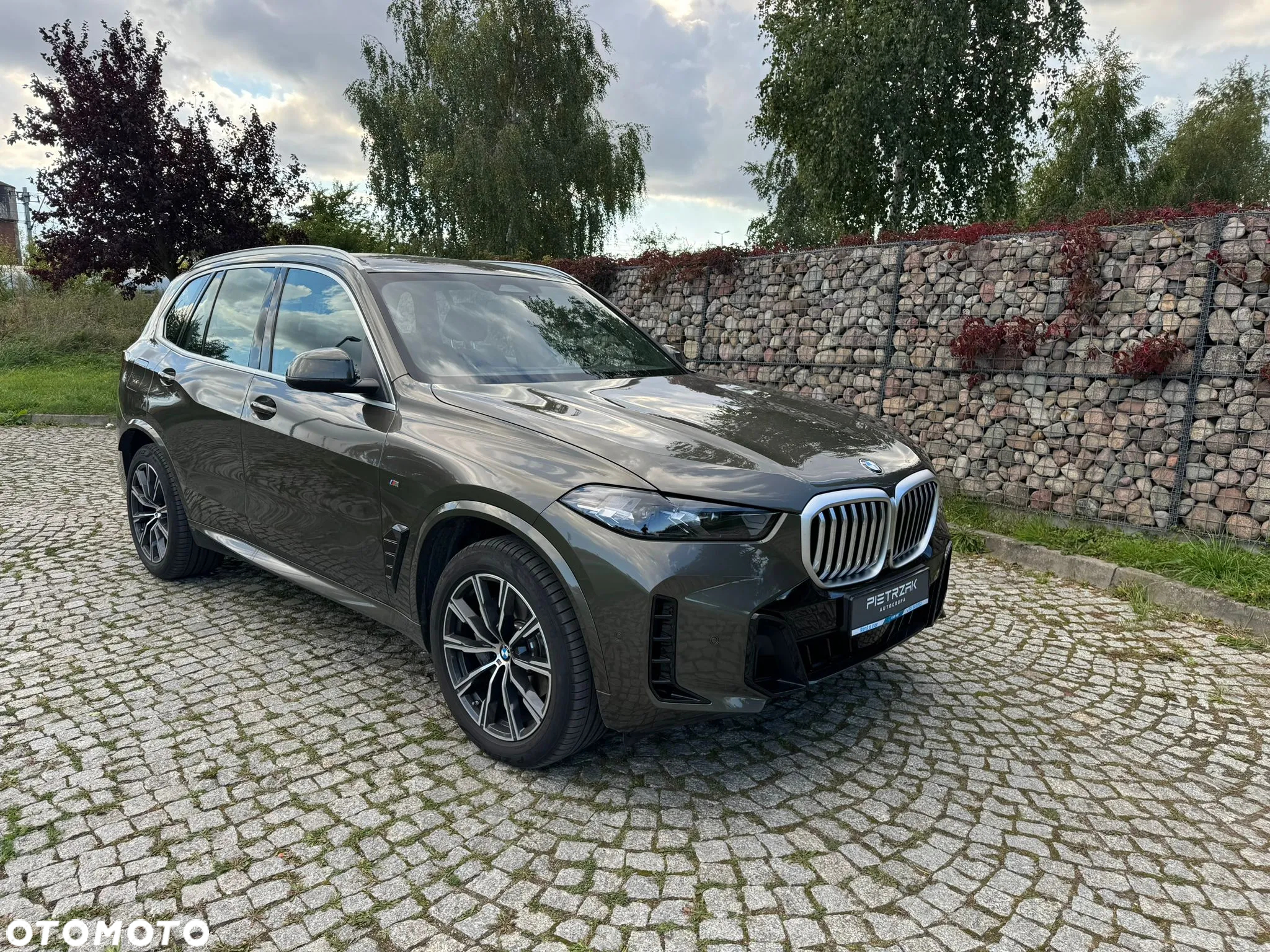 BMW X5 xDrive30d - 5