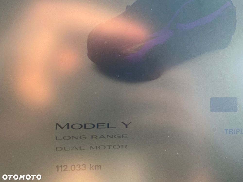 Tesla Y Long Range Dual Motor AWD - 18