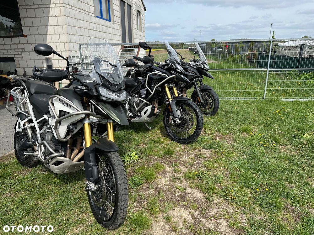 Triumph Tiger - 32