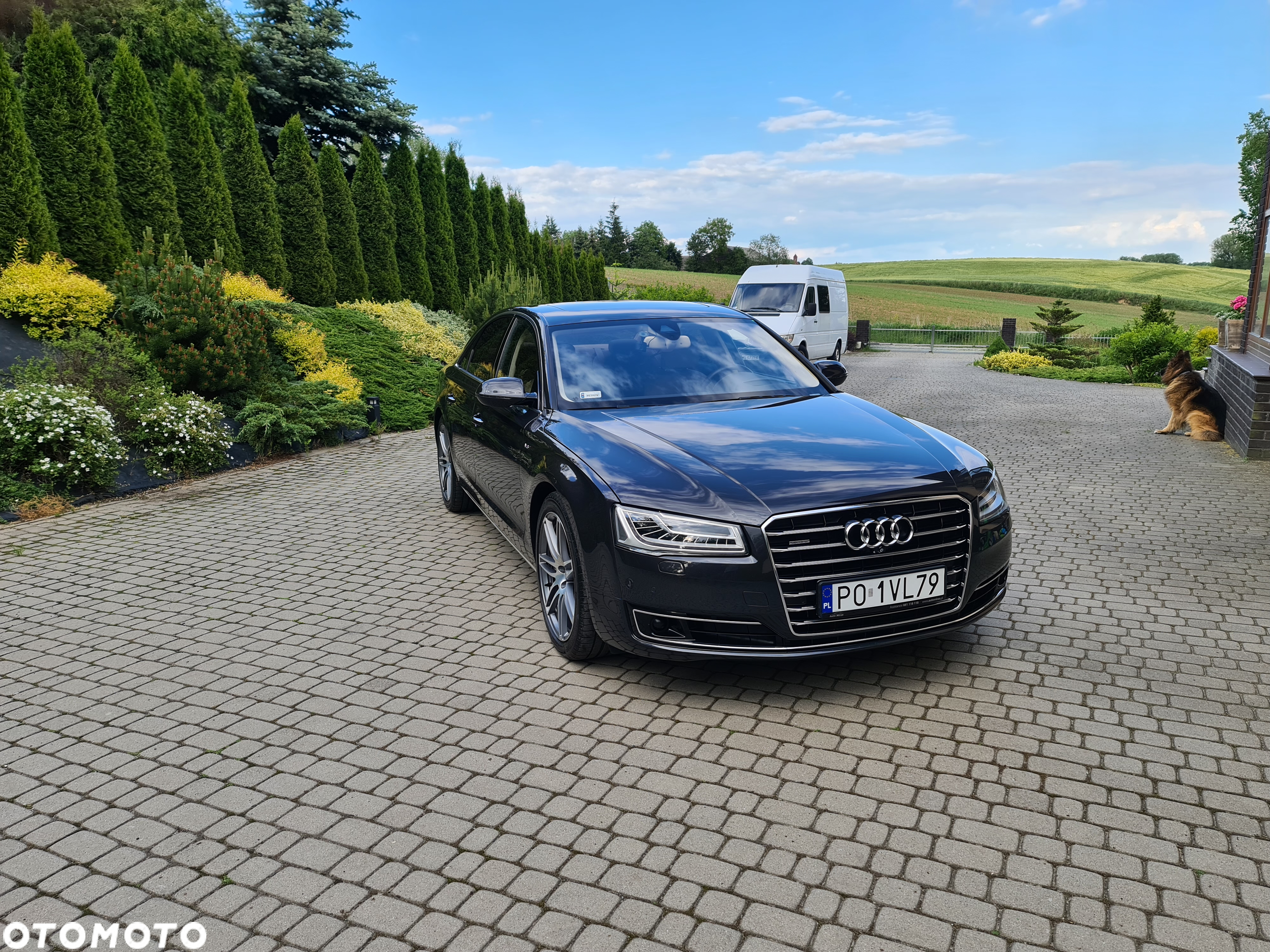 Audi A8 4.2 TDI clean diesel Quattro - 10
