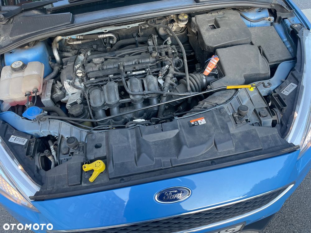 Ford Focus - 10