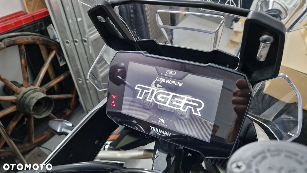 Triumph Tiger - 34