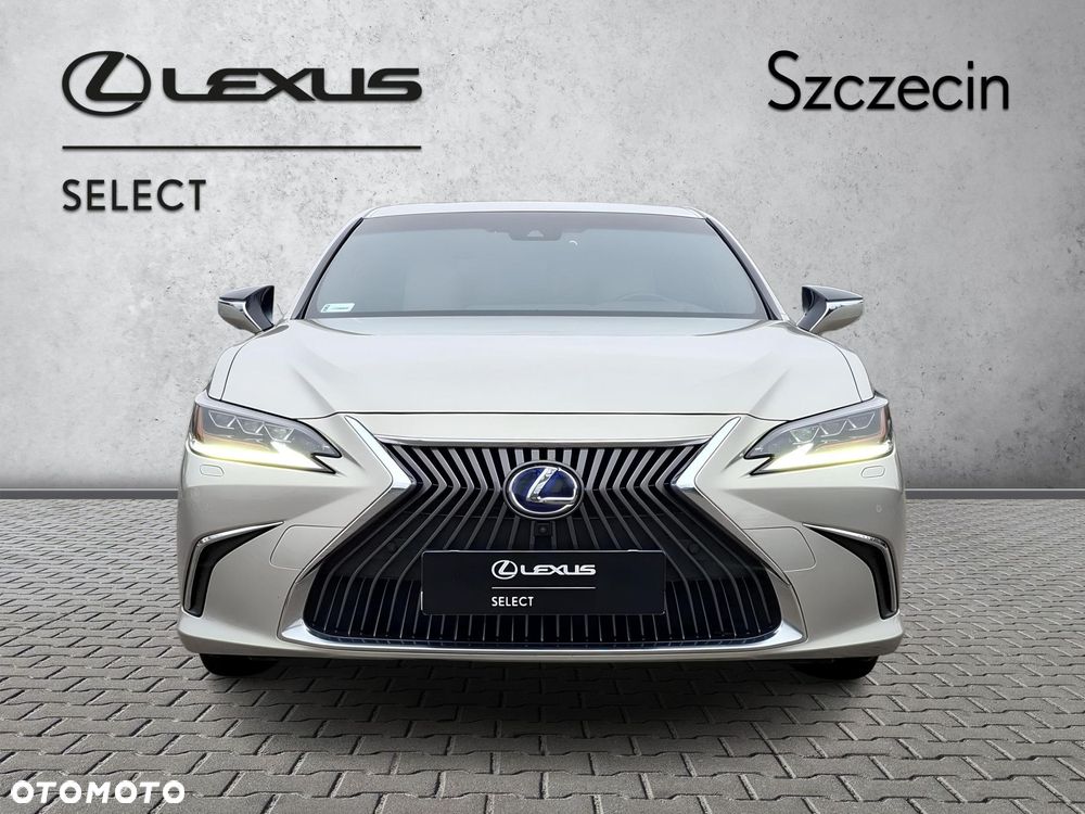 Lexus ES 300h Omotenashi - 6
