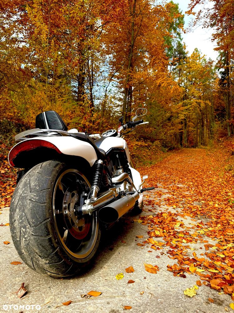 Harley-Davidson V-Rod Muscle - 4