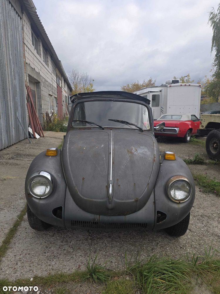 Volkswagen Beetle - 6