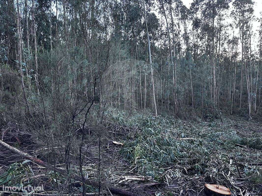 Terreno  para venda - Grande imagem: 4/24