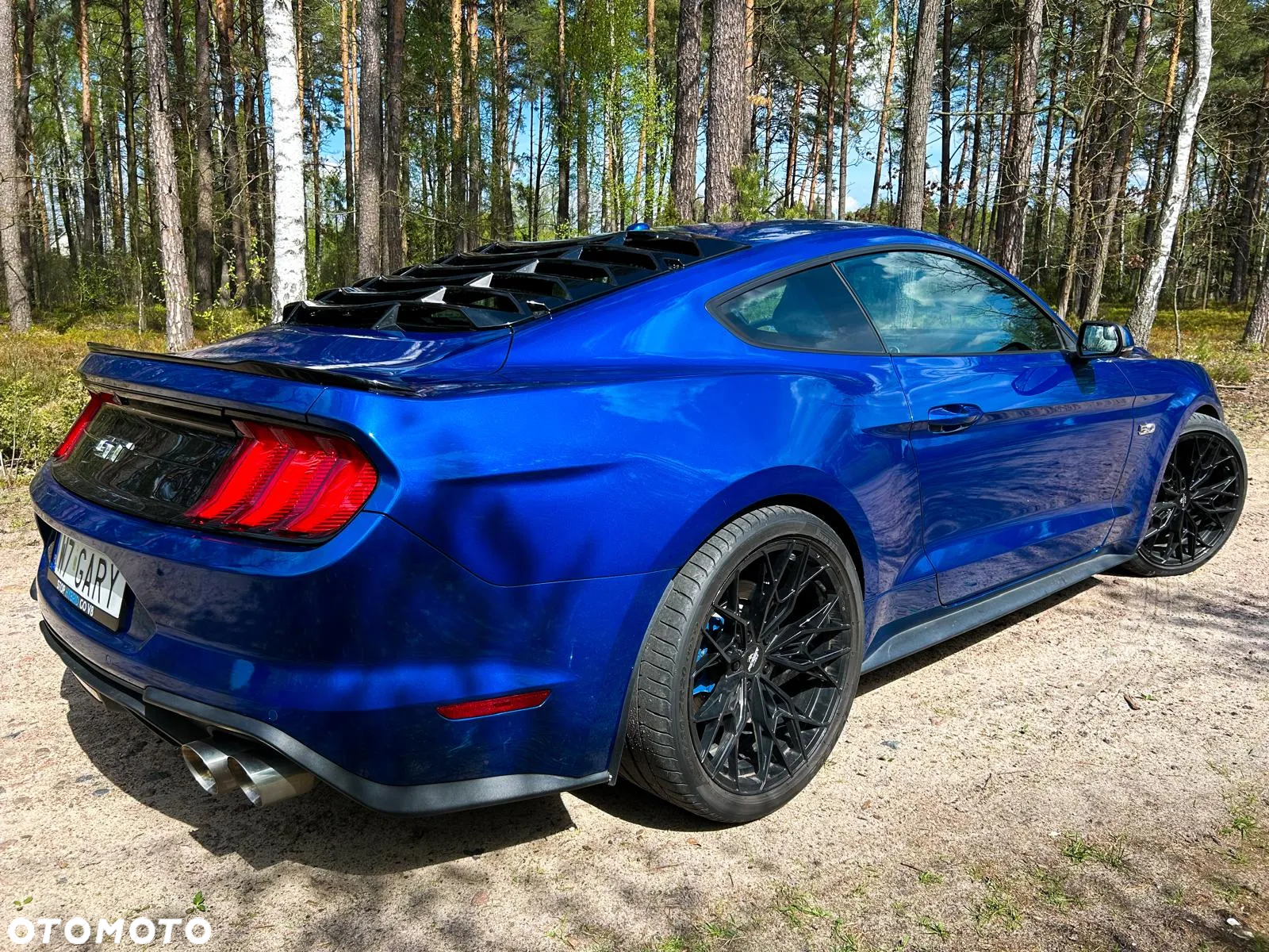Ford Mustang Fastback 5.0 Ti-VCT V8 MACH1 - 13