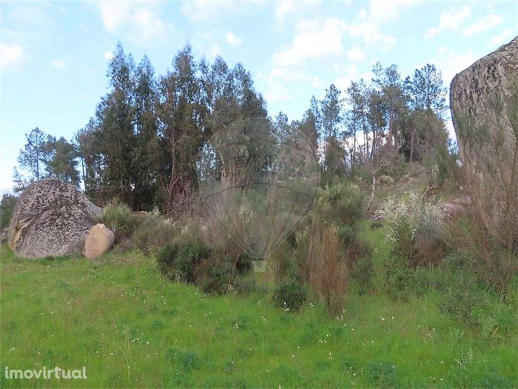 Quinta  para venda - Grande imagem: 2/50