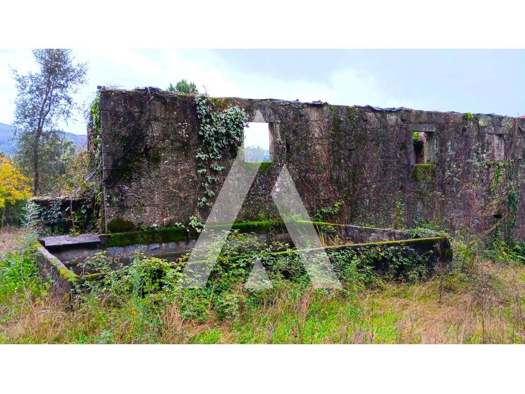Quinta para reconstrução para viver, descansar ou para investir no ... - Grande imagem: 4/16